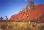 gal/Holidays_and_Trips/Oz_2002/More_of_The_Rock_and_The_Olgas/_thb_oz8-04a.jpg