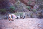 gal/Holidays_and_Trips/Oz_2002/More_of_The_Rock_and_The_Olgas/_thb_oz8-13a.jpg