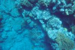 gal/Holidays_and_Trips/Oz_2002/Passions_of_Paradise_-_The_Great_Barrier_Reef/_thb_reef-16.jpg