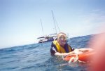 gal/Holidays_and_Trips/Oz_2002/Passions_of_Paradise_-_The_Great_Barrier_Reef/_thb_reef-23.jpg
