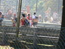 gal/Racing/2006/Italian_F1GP_-_Monza/_thb_P1020809.JPG